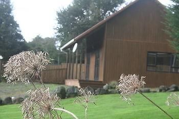 Ariari Lodge, Lake Rotorangi Stratford Esterno foto
