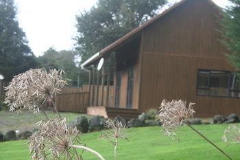 Ariari Lodge, Lake Rotorangi Stratford Esterno foto